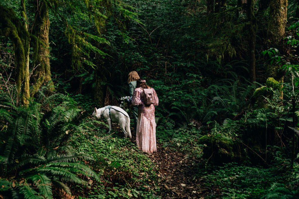 bride and groom and their dog at the rainforest trail surrounded by lush greenery