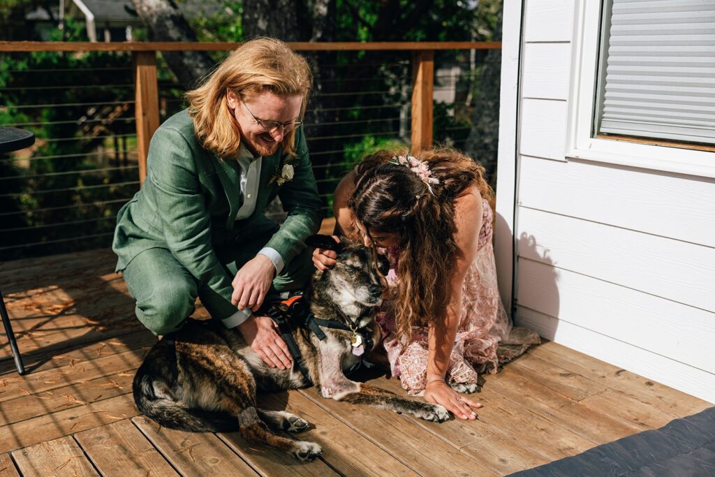 bride and groom cuddling their dog at their accommodation