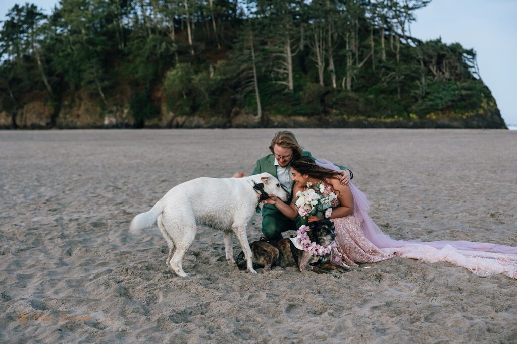 bride and groom and their two dogs at the beach in oregon coast