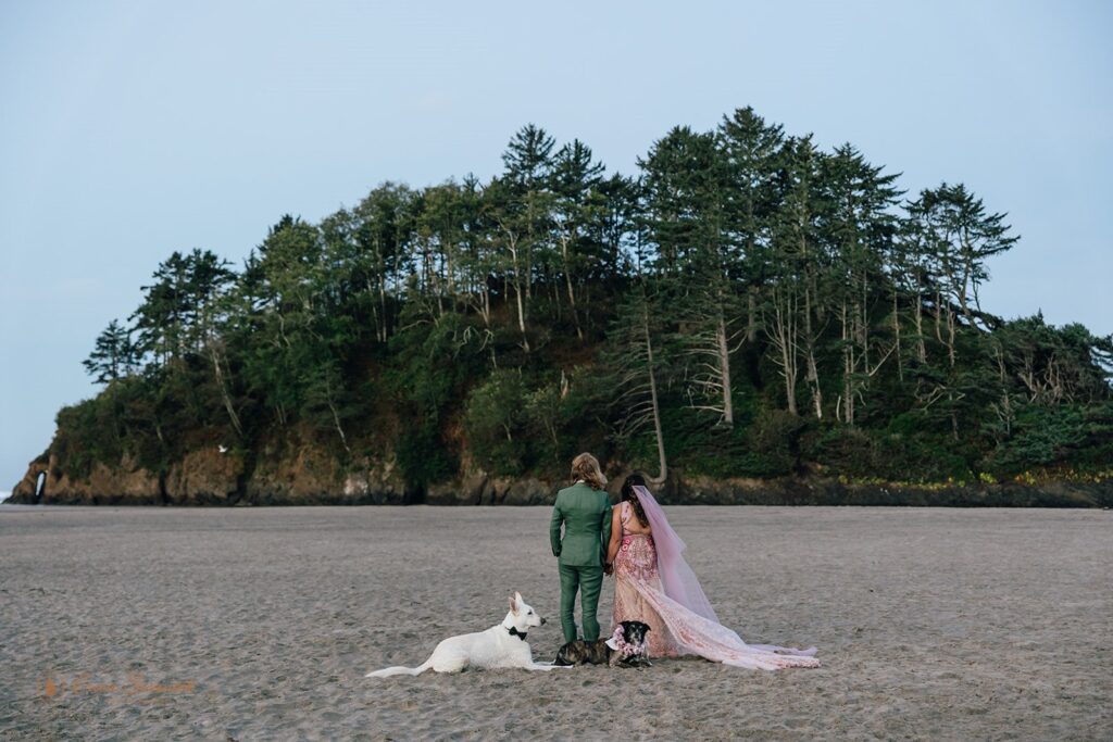 bride and groom and their two dogs at the beach in oregon coast