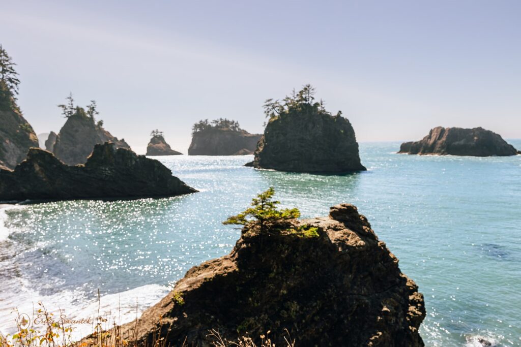 brookings, or, coastal landscapes