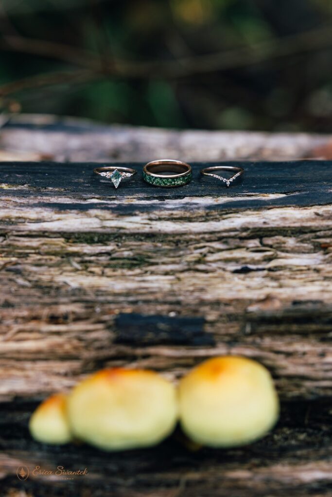 wedding rings set up on a wooden log