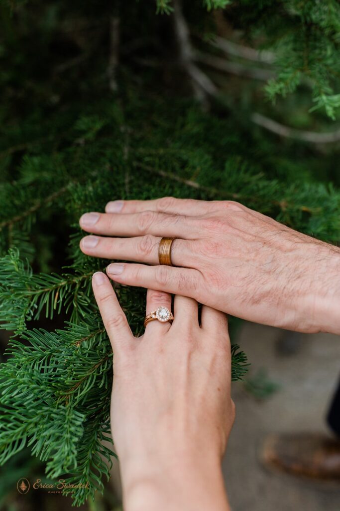 close up of bride and groom showing off their wedding rings