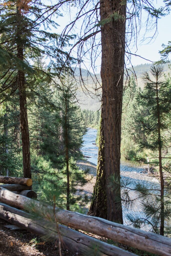 views at skyliners lodge