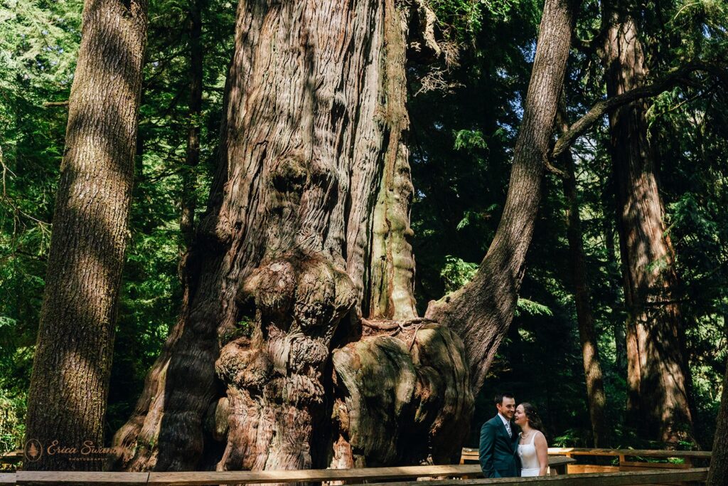 bride and groom walking a forest trail during their oregon coast micro wedding day