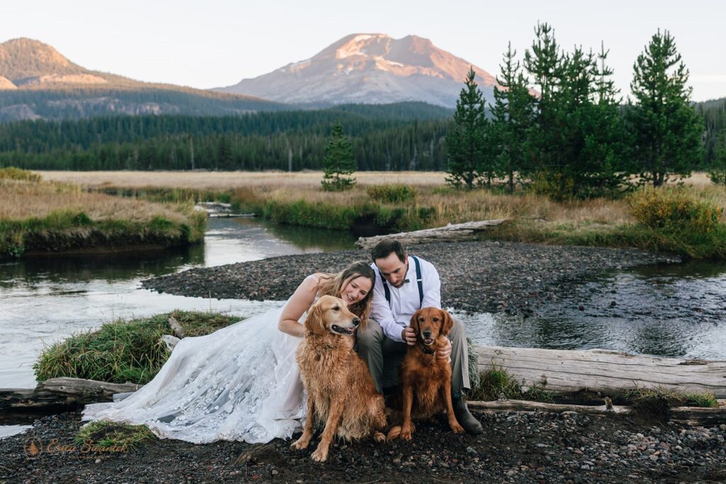 newlyweds and their dogs