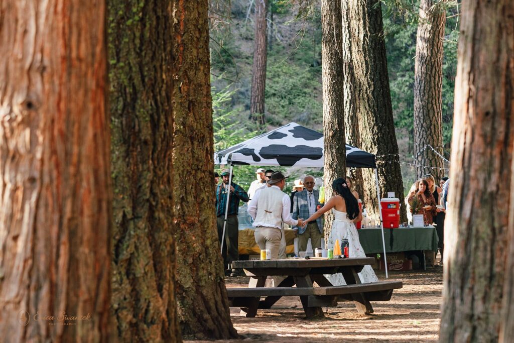 Metolius River wedding reception 