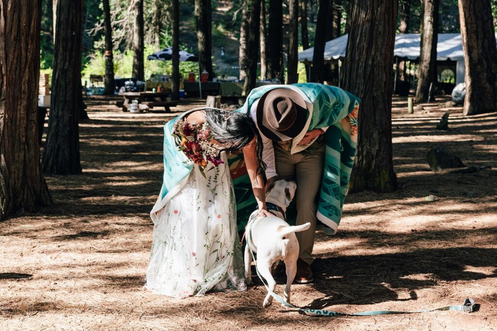 bride and groom bending over to give their pup a snuggle