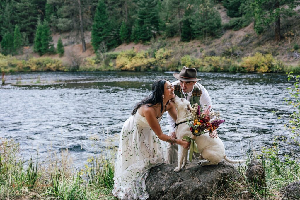 doggy kissing bride