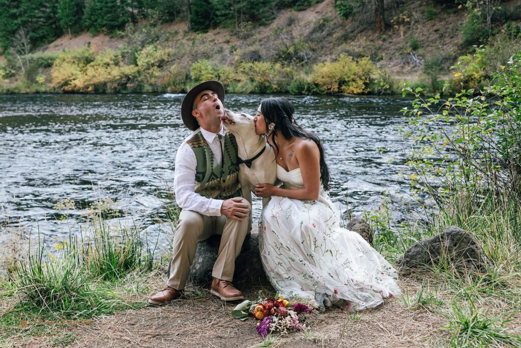 doggy kissing groom