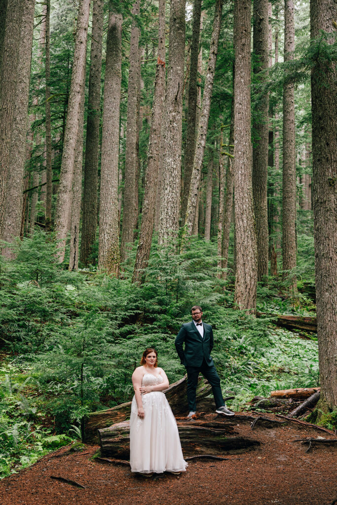 Mt Rainier National Park elopement