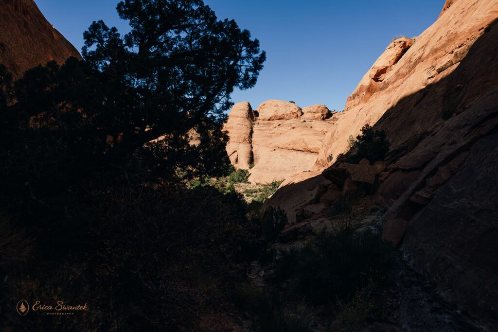 moab red rock landscapes