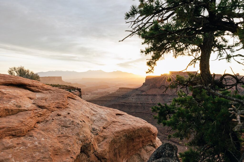 canyonlands national park desert landscapes in moab